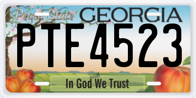 GA license plate PTE4523