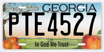 GA license plate PTE4527