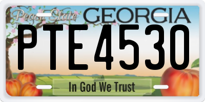 GA license plate PTE4530