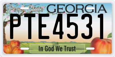 GA license plate PTE4531
