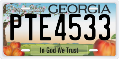 GA license plate PTE4533