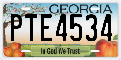 GA license plate PTE4534