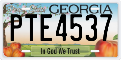 GA license plate PTE4537
