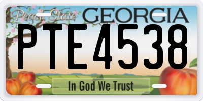 GA license plate PTE4538