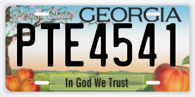 GA license plate PTE4541