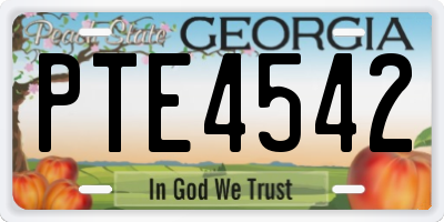 GA license plate PTE4542