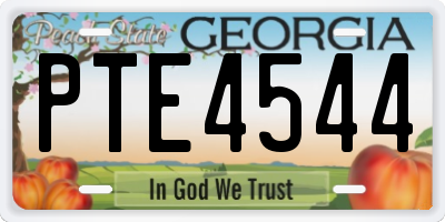 GA license plate PTE4544
