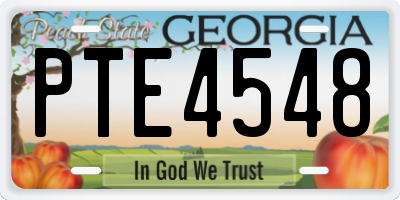 GA license plate PTE4548