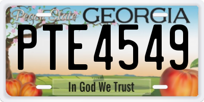 GA license plate PTE4549