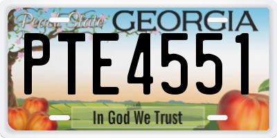 GA license plate PTE4551