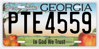 GA license plate PTE4559