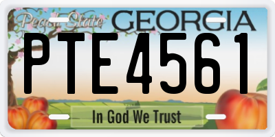 GA license plate PTE4561