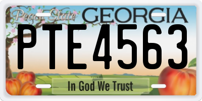 GA license plate PTE4563