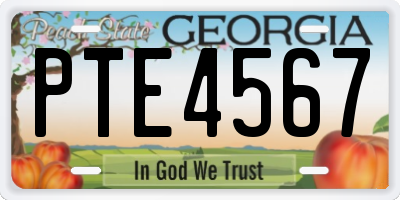 GA license plate PTE4567