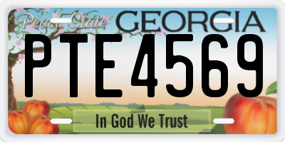 GA license plate PTE4569