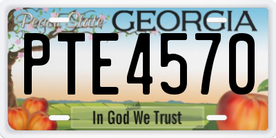 GA license plate PTE4570