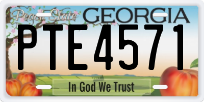 GA license plate PTE4571