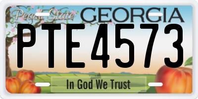 GA license plate PTE4573