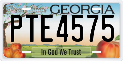 GA license plate PTE4575