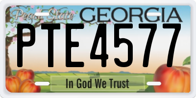 GA license plate PTE4577