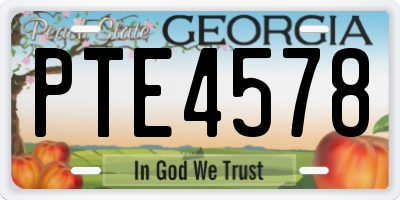 GA license plate PTE4578