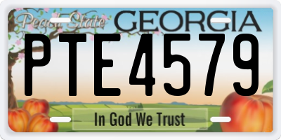 GA license plate PTE4579
