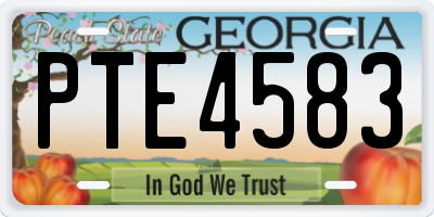 GA license plate PTE4583
