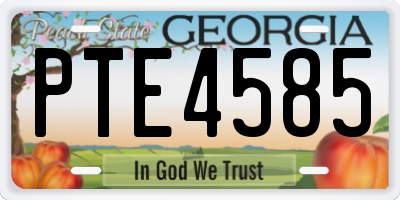 GA license plate PTE4585