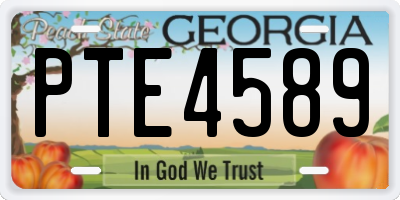 GA license plate PTE4589