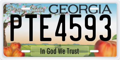 GA license plate PTE4593