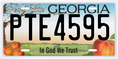 GA license plate PTE4595