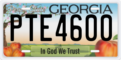 GA license plate PTE4600