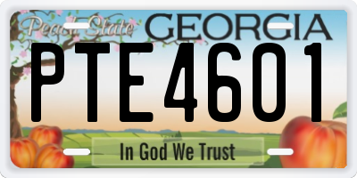 GA license plate PTE4601