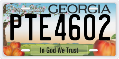GA license plate PTE4602