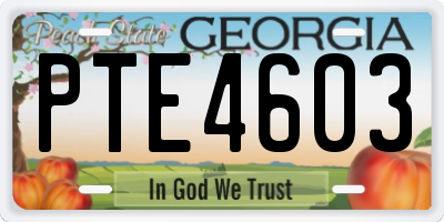 GA license plate PTE4603