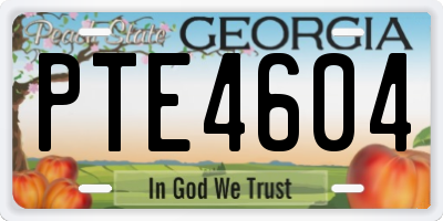GA license plate PTE4604