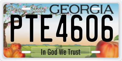 GA license plate PTE4606