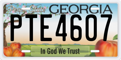 GA license plate PTE4607