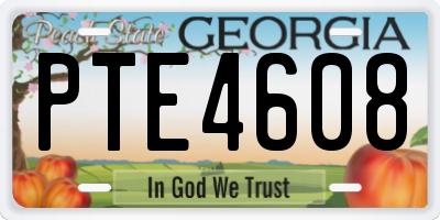 GA license plate PTE4608