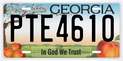 GA license plate PTE4610