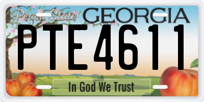 GA license plate PTE4611