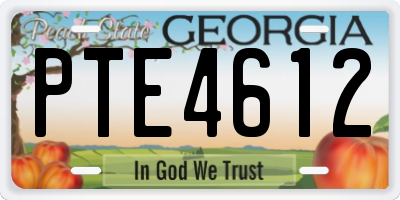 GA license plate PTE4612