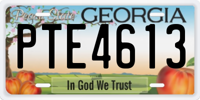 GA license plate PTE4613