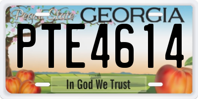 GA license plate PTE4614