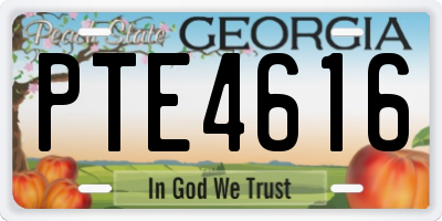GA license plate PTE4616