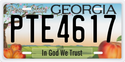 GA license plate PTE4617