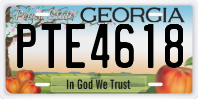 GA license plate PTE4618