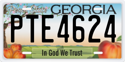 GA license plate PTE4624