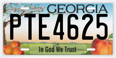 GA license plate PTE4625