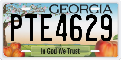 GA license plate PTE4629